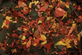 glopex-super-mix-95g-wysokobialkowy-pokarm-dla-ryb-do-akwarium