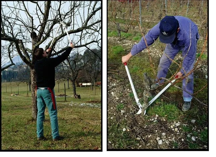 felco-22-sekator-zasilanie-reczne