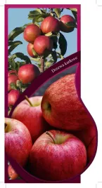 etykieta-szkolkarska-jablon-karlowa-topaz-jumbo