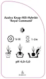 etykieta-szkolkarska-azalea-royal-command-stan-nowy