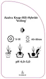 etykieta-szkolkarska-azalea-veiling-stan-nowy