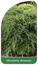 etykieta-szkolkarska-microbiota-descussata