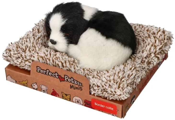 spiacy-na-legowisku-border-collie-marka-melissa-and-doug