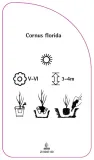 etykieta-szkolkarska-cornus-florida-stan-nowy