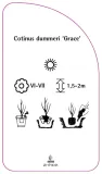 etykieta-szkolkarska-cotinus-dummeri-grace-a-stan-nowy