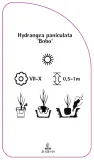 etykieta-szkolkarska-hydrangea-paniculata-bobo-stan-nowy