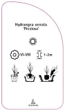 etykieta-szkolkarska-hydrangea-serrata-preziosa-stan-nowy