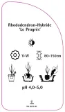 etykieta-szkolkarska-rhododendron-le-progres-stan-nowy