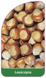 etykieta-szkolkarska-leszczyna
