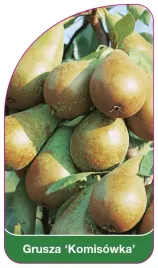 etykieta-szkolkarska-grusza-komisowka