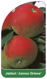 etykieta-szkolkarska-jablon-james-grieve