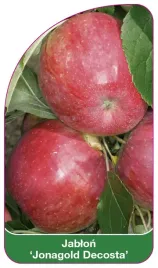 etykieta-szkolkarska-jablon-jonagold-decosta