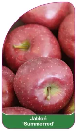 etykieta-szkolkarska-jablon-summerred