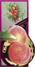 etykieta-szkolkarska-brzoskwinia-kolumnowa-jumbo