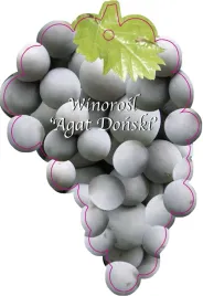 etykieta-szkolkarska-winorosl-agat-donski-jumbo