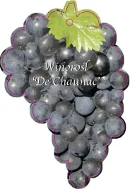 etykieta-szkolkarska-winorosl-de-chaunac-jumbo