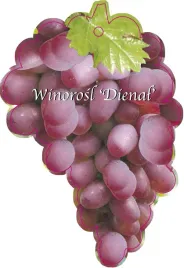 etykieta-szkolkarska-winorosl-dienal-jumbo