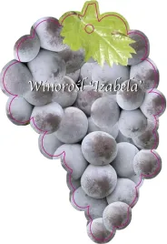 etykieta-szkolkarska-winorosl-izabella-jumbo
