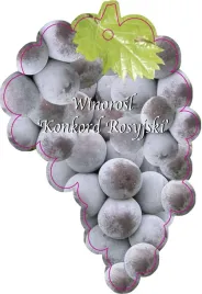etykieta-szkolkarska-winorosl-konkord-rosyjski-jumbo