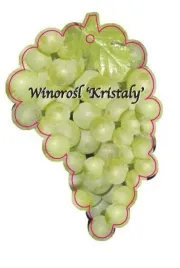 etykieta-szkolkarska-winorosl-kristaly-jumbo