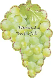 etykieta-szkolkarska-winorosl-perla-zali-jumbo