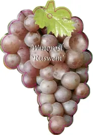 etykieta-szkolkarska-winorosl-ruswem