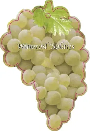 etykieta-szkolkarska-winorosl-solaris