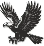 obraz-orzel-wolnosci-stan-nowy