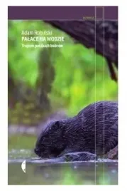 palace-na-wodzie-tropem-polskich-bobrow-robinski