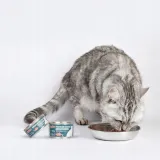 comfy-appetit-premium-sterilized-tunczyk-150g-smak-tunczyk