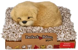 szczekajacy-golden-retriver-na-legowisku