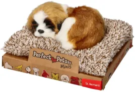 szczekajacy-mini-bernardyn-na-legowisku