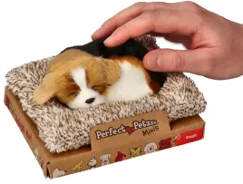 szczekajacy-beagle-na-legowisku