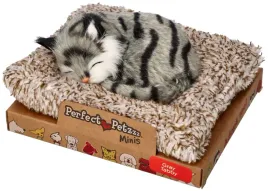 perfect-petzzz-maly-kociak-szary-pregowany