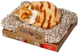 perfect-petzzz-maly-kociak-pregowany-rudy