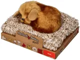 maly-kundelek-perfect-petzzz-stan-nowy