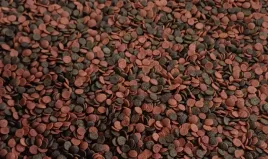 tropical-cichlid-chips-100g-pokarm-wybarwiajacy