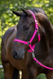 kantar-dla-konia-hippo-roz-pony-rozowy-covalliero