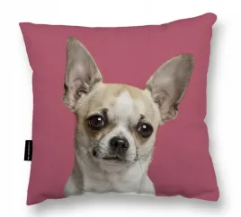 poduszka-z-psem-chihuahua-biala-40x40-do-spania-prezent-miekka-chi-duza