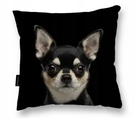 poduszka-z-psem-chihuahua-czarna-40x40-do-spania-prezent-welur-miekka-deko