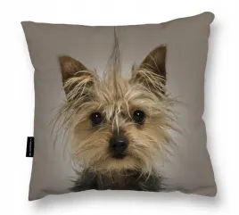 poduszka-z-psem-york-shire-terrier-40x40-prezent-kokarda-do-spania-miekka