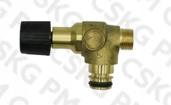 zawor-vaillant-0020265137-rodzaj-zawor