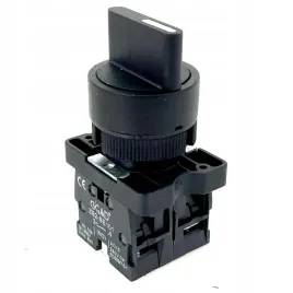 przelacznik-piorowy-2-pozycje-1-0-no-nc-gb2-ed25