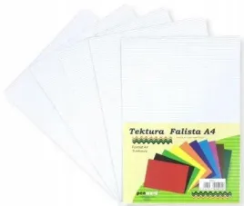 tektura-a4-falista-biala-5szt-penword