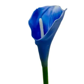 calla-pojedyncza-gumowana-denim-blue