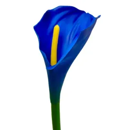 Zdjęcie produktu Calla pojedyncza gumowana new dk blue