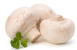 pieczarka-biala-bio-250-g-