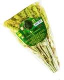 gojnik-herbata-mursalska-bio-22-g