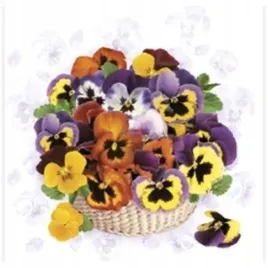 serwetka-lunch-colorful-pansies-sdwi007901