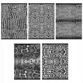 zeszyt-a5-80k-linia-snakes-1-5szt